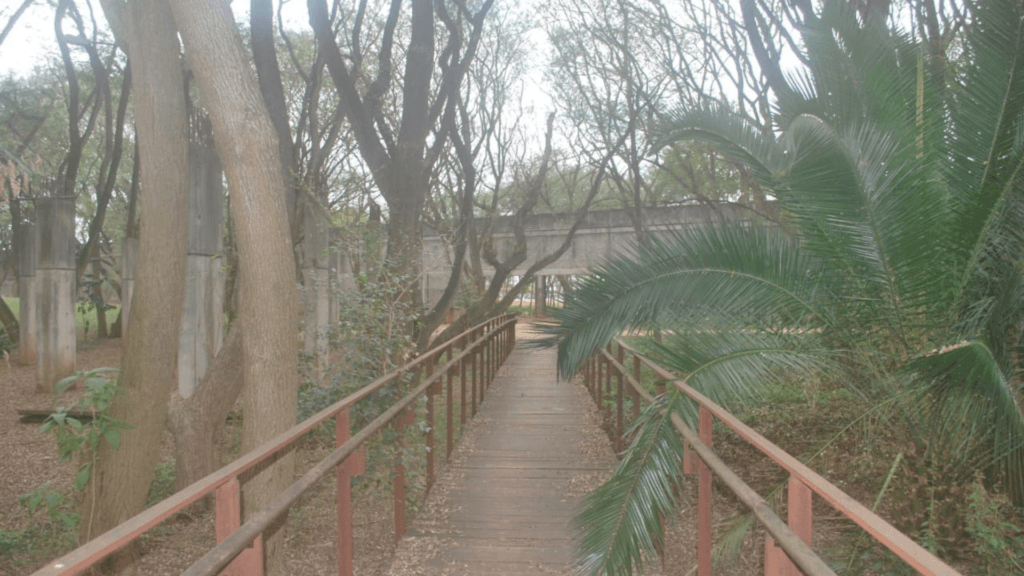 Parque da Juventude no bairro do Carandiru.