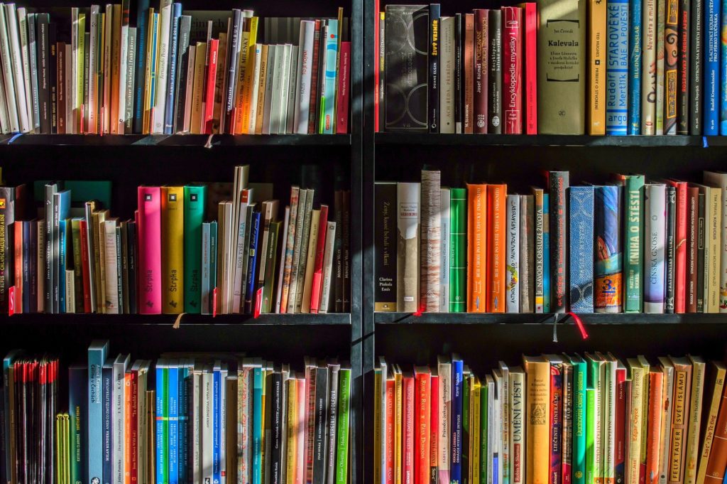 Leitura: entenda como a taxação dos livros pode ser uma barreira para a ampliação do hábito no Brasil